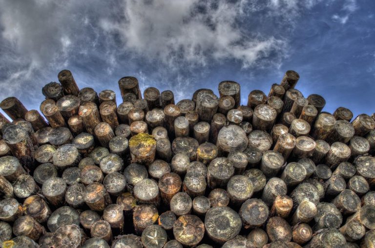 Home Houthandel in IJmuiden met breed assortiment hout en bouwmaterialen voor doe-het-zelf projecten